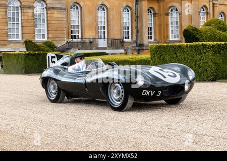 1954 Jaguar D Type al Salon prive Concours 2024 a Blenheim Palace Woodstock Oxfordshire Regno Unito Foto Stock