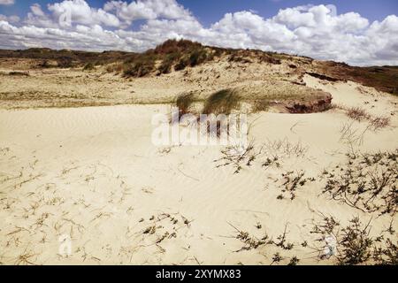 Dutch dune di sabbia sotto il bel cielo blu con nuvole Foto Stock