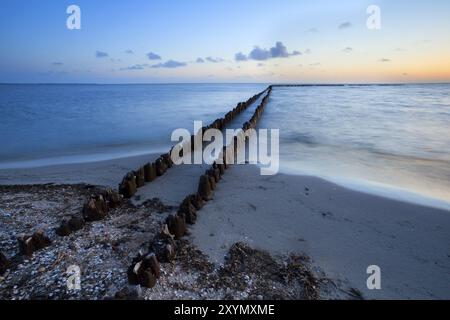 Lungo frangiflutti in legno nel Mare del Nord durante il tramonto, Hindeloopen, Paesi Bassi Foto Stock