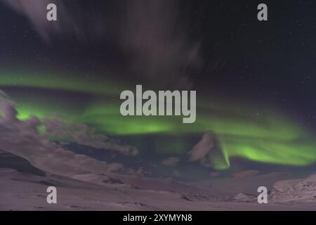 Aurora boreale (Aurora boreale) sulle montagne illuminate dalla luna sul sentiero escursionistico a lunga distanza Kungsleden, Alesjaure, Norrbotten Lapponia, Svezia, 20 marzo Foto Stock