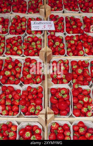 Fragole fresche (Fragaria) con etichetta del prezzo in vassoi in una bancarella di mercato, Oldenburg, bassa Sassonia, Germania, Europa Foto Stock