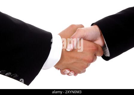 Stretta di mano tra uomo e donna, saluto, firma un contratto, studio Foto Stock