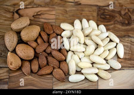 Mandorle (Prunus dulcis, Prunus amygdalus, Amygdalus communis, Amygdalus dulcis), mandorle, con guscio, incrinato e sbiancato Foto Stock