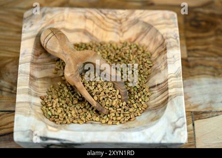 Fieno greco (Trigonella foenum-graecum), semi di fieno greco in un recipiente di legno con una paletta di legno Foto Stock