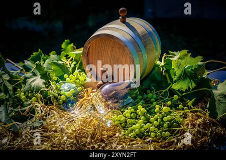 Uva, viti, botte di vino e bicchiere di vino in paglia Foto Stock