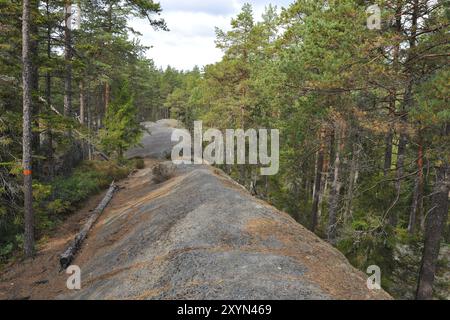 Parco nazionale di Tiveden in svezia, in autunno Foto Stock