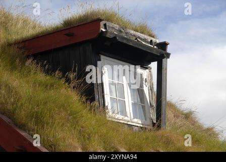 Tetto in erba con finestra, Tinganes, città vecchia di Torshavn, isole Faroe Foto Stock