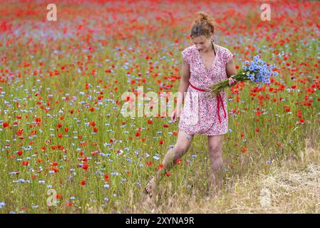 Attraente donna giovane che raccoglie un bouquet di fiori di mais in un campo di mais pieno di papaveri e fiori di mais. Una giovane donna attraente che sceglie una B. Foto Stock