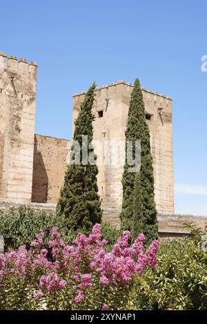 Particolare dell'Alcazaba, una fortificazione moresca nell'Alhambra di Granada, Spagna, Europa Foto Stock