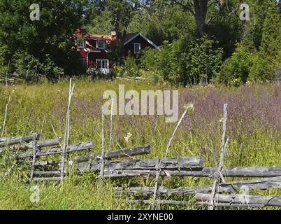 Paesaggio culturale in Svezia Foto Stock