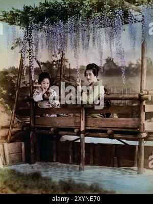 Geisha osservando la fioritura di glicine 1895 di Seibei Kajima, attiva nel periodo Meiji (1868-1912). “Fotografo milionario”, che ha contribuito molto al mondo della fotografia in Giappone. Foto giapponese in bianco e nero colorata a mano Giappone fine XIX - inizio del XX secolo fotografia d'albume d'epoca ( storia storica ) riproduzione digitale migliorata . Foto Stock