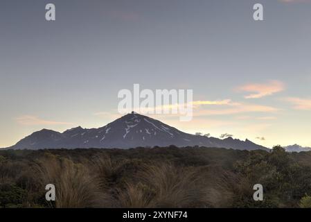 Vista del Monte Ruapehu in nuova Zelanda, vista dal circuito settentrionale di Tongariro Foto Stock