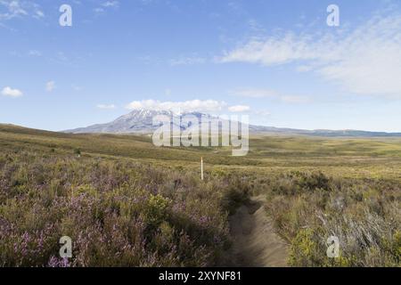 Vista del Monte Ruapehu in nuova Zelanda, vista dal circuito settentrionale di Tongariro Foto Stock