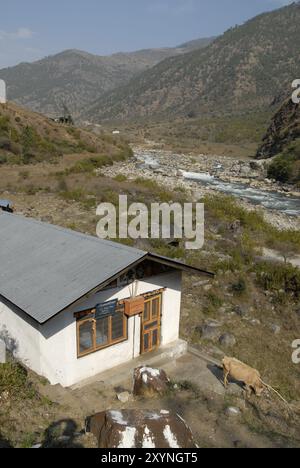 Mucca di fronte a una casa, Druksum village, Est Bhutan Foto Stock