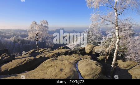 Montagne di arenaria dell'Elba in inverno Carolafelsen, montagne di arenaria dell'Elba in inverno e hoarfrost, Carolarock Foto Stock