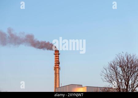 Essiccazione del carbone grezzo in una fabbrica. Nastri per il trasporto alla centrale termoelettrica. Il fumo inquina l'ambiente. Foto Stock