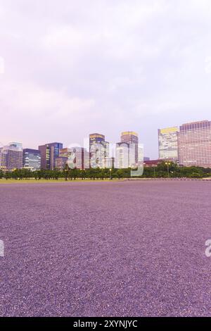 Viola tramonto affacciato sul centro di Marunouchi skyline al tramonto visto da Imperial Palace Square a Tokyo in Giappone. In verticale Foto Stock