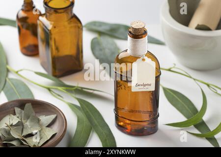 Olio essenziale di eucalipto con etichetta fatta in casa. Aromaterapia, spa, rimedi erboristici Foto Stock