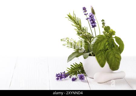 Mazzo di erbe fresche da giardino in un mortaio su sfondo bianco isolato Foto Stock