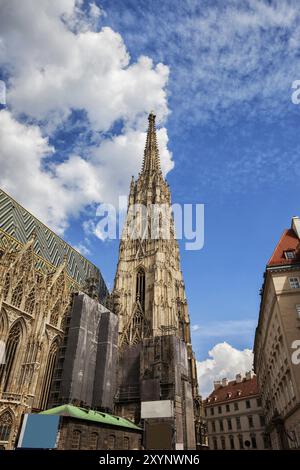 Austria, Vienna, cattedrale di Santo Stefano (Stephansdom), torre gotica sud, simbolo della città, Europa Foto Stock