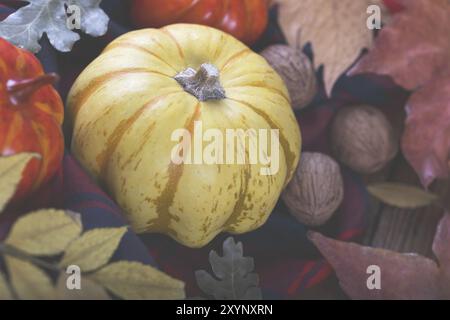 halloween autunnale o ringraziamento, zucche gialle e orva e foglie colorate, vecchio palco in legno di fienile Foto Stock