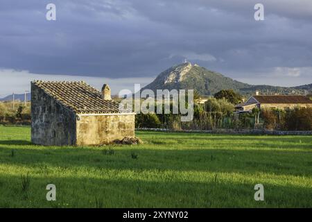 Huertos en el camino de Almadrava, con el Puig de Sant Marti al fondo. Reserva Natural de l'Albufereta, Pollenca, Maiorca, Isole Baleari, Spagna, EUR Foto Stock