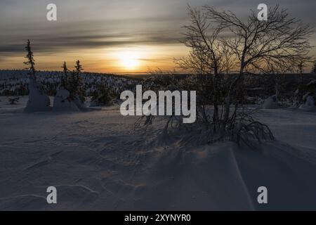 Evening Mood, Riisitunturi National Park, Lapponia, Finlandia, gennaio 2017, Europa Foto Stock