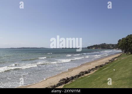 Red Beach, appena a nord di Auckland, sull'autostrada costiera Hibiscus, nuova Zelanda, Oceania Foto Stock