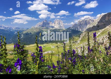 Vista sul Gruppo del Sasso Lungo delle Dolomiti Foto Stock