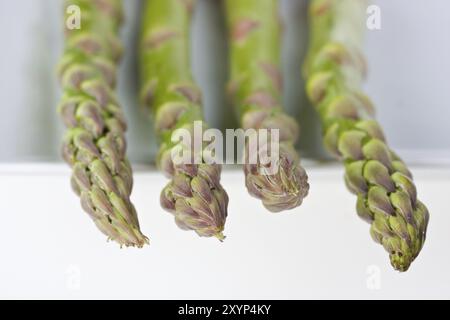 Dettaglio di asparagi verdi freschi isolati su sfondo bianco Foto Stock