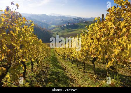 Vista sui vigneti del Piemonte durante l'Autunno Foto Stock