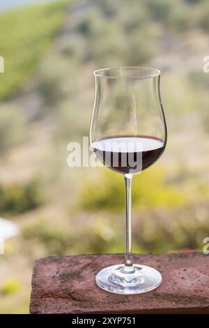 Gusta un bicchiere di vino rosso in Toscana, Italia. Vigneti sfocati sullo sfondo Foto Stock