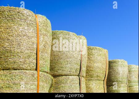 Diverse balle di paglia sono impilate una sull'altra in fila Foto Stock