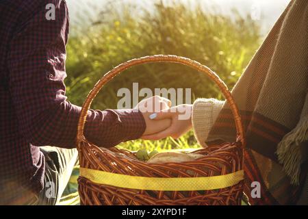 Vista dal retro. Giovani coppie sposate stanno tenendo per mano un picnic nella natura al tramonto. Il concetto di una giovane famiglia felice e di unità con la natura Foto Stock