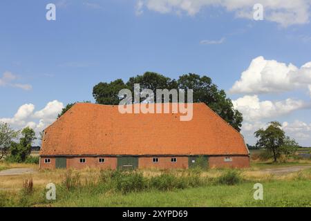 Grande edificio agricolo, cielo blu sullo sfondo grande edificio agricolo, cielo blu sullo sfondo Foto Stock