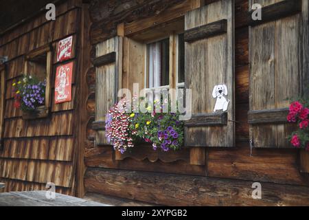 Fiori colorati sulle finestre di un pascolo alpino Foto Stock