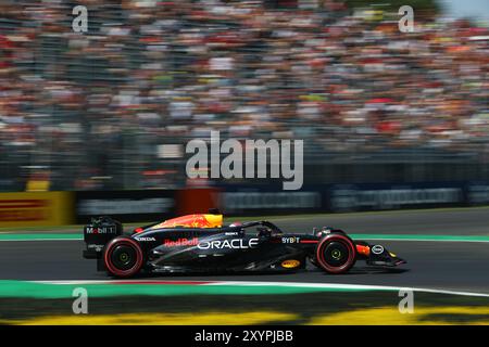 Nel corso della sessione di prove, 30 agosto, del Gran Premio d'Italia 2024 di Formula 1 Pirelli, in programma presso l'autodromo Nazionale di Monza a Monza (MB) Italia - dal 29 agosto al 1 settembre 2024 crediti: Alessio De Marco/Alamy Live News Foto Stock