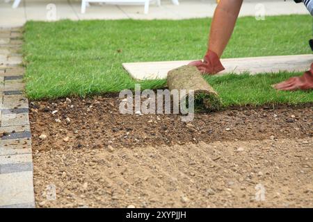 Uomo che posa la zolla per un nuovo prato da giardino Foto Stock