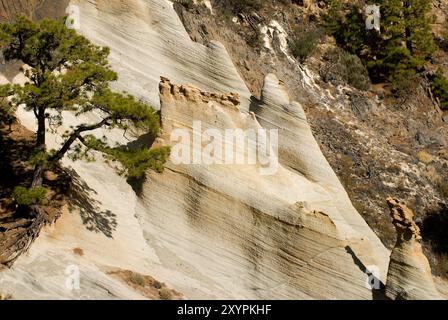 Coni di tufo nel paesaggio lunare di Paisaje, Parque Natural de la Corona Forestal, Tenerife, Isole Canarie Foto Stock