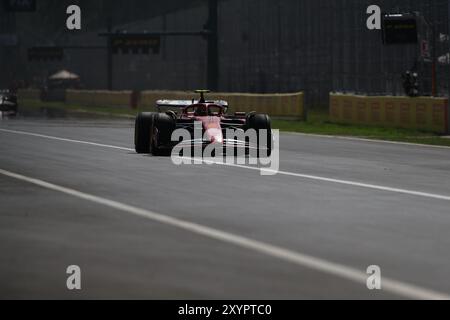 55 nel corso della sessione di prove, 30 agosto, del Gran Premio d'Italia 2024 di Formula 1 Pirelli, in programma presso l'autodromo Nazionale di Monza a Monza (MB) Italia - dal 29 agosto al 1 settembre 2024 Credit: Independent Photo Agency Srl/Alamy Live News Foto Stock