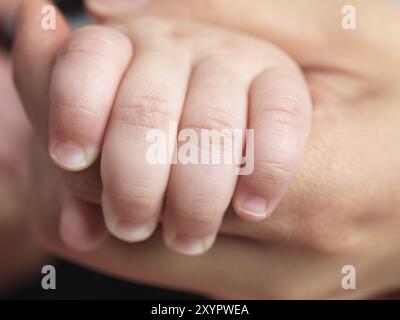 Primo piano di un bambino di sei mesi in mano agli adulti Foto Stock