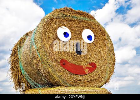 Testa di una bambola di paglia Foto Stock