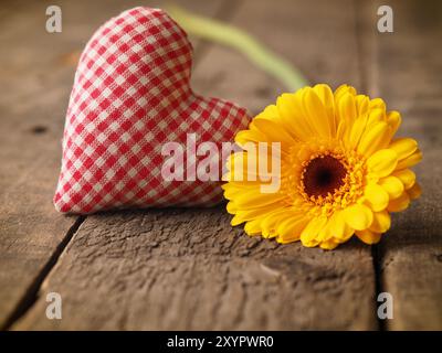 A scacchi in forma di cuore con una gerbera gialla daisy su una tavola in legno rustico, il giorno di San Valentino sfondo Foto Stock