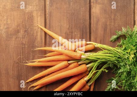 Un primo piano di fresche Materie organiche carote, ripresa dall'alto su una scuri in legno rustico sfondo con spazio di copia Foto Stock