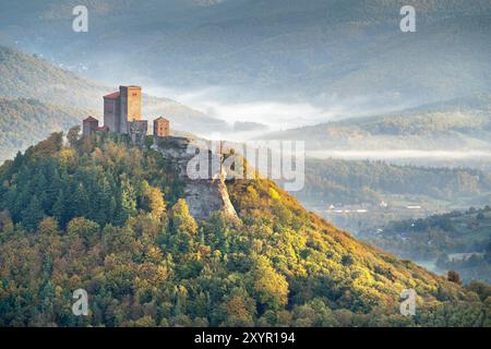 Castello di Trifels alla luce del mattino con ciuffi di nebbia nella valle, autunno, Annweiler a Trifels, foresta del Palatinato, Renania-Palatinato, Palatinat Foto Stock