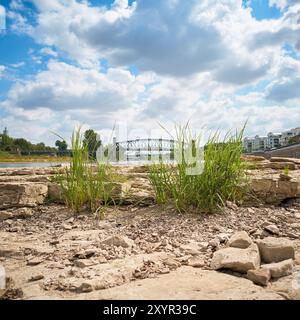 Letto del fiume dell'Elba asciutto vicino a Magdeburgo con la roccia della cattedrale esposta dalla siccità Foto Stock