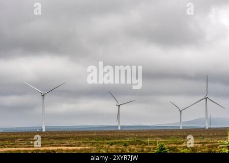 Parco eolico di Bad á Cheò, vicino ad Achtkeepster a Caithness, Scozia. Foto Stock