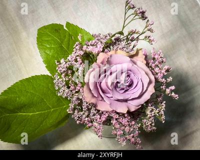 Un giardino di rose sul giu 22, 2024 a Marktoberdorf, Germania. Foto Stock