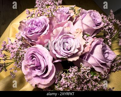 Un giardino di rose sul giu 22, 2024 a Marktoberdorf, Germania. Foto Stock