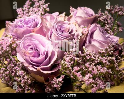 Marktoberdorf, Germania. 22 giugno 2024. Un giardino di rose sul giu 22, 2024 a Marktoberdorf, Germania. Fotografo: ddp Images/STAR-Images credito: ddp media GmbH/Alamy Live News Foto Stock
